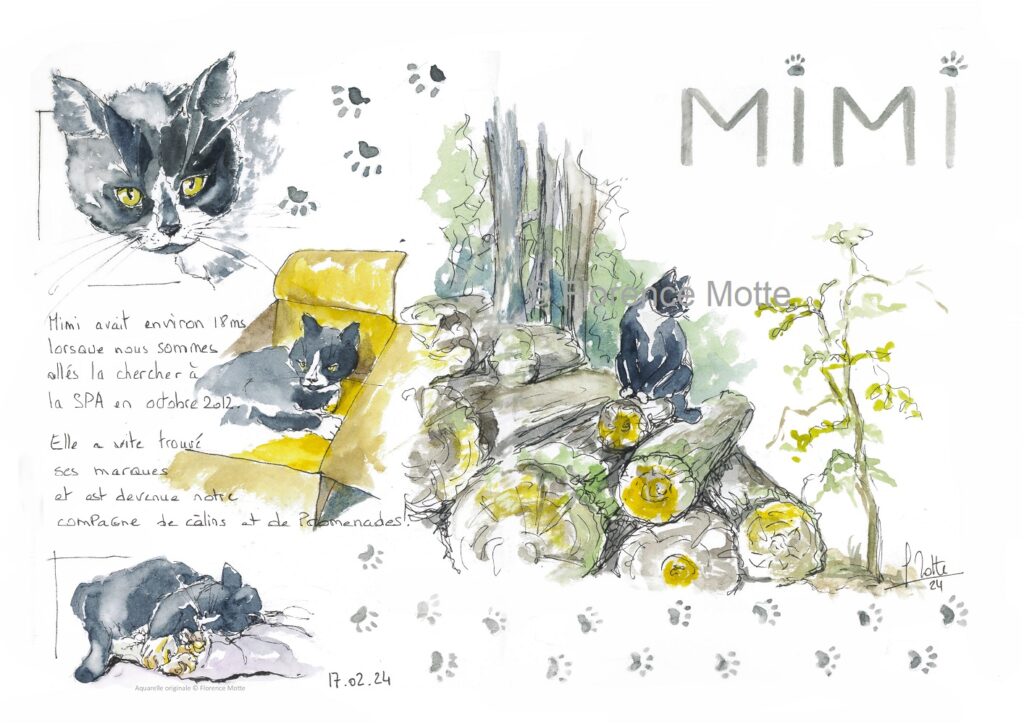 Promenade en forêt avec mon chat croquis Orne