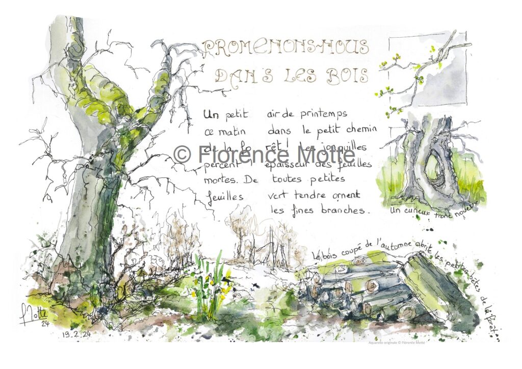 tour dans les bois croquis Orne
