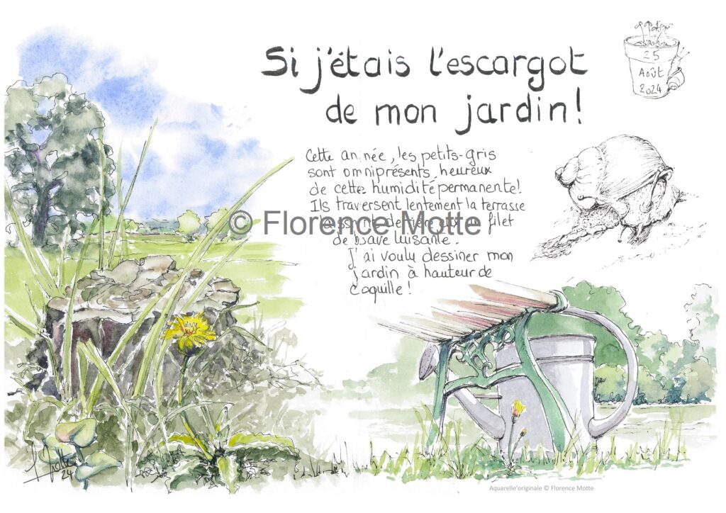 L'escargot de mon jardin