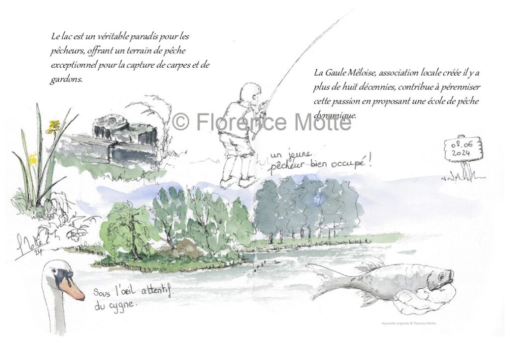 p6 lepo MSS pêche au lac filigrane