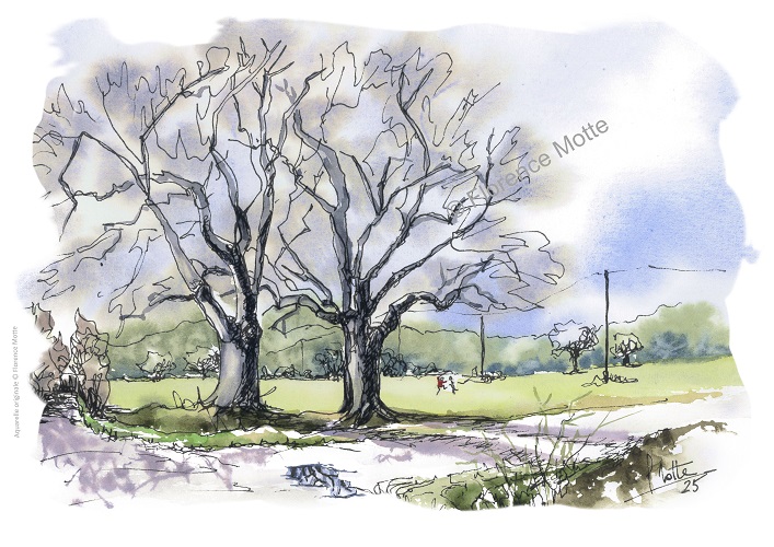 les 2 arbres du carrefour v3 filigrane réduit.jpg