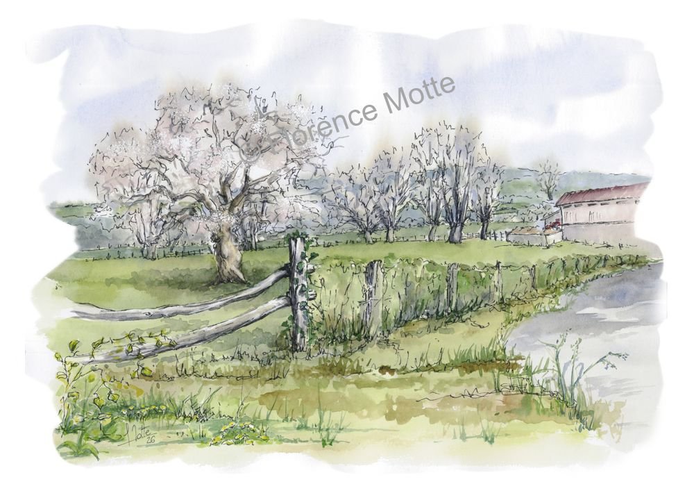 paysage entrée du champ soreuil a4 filigrane réduit.jpg