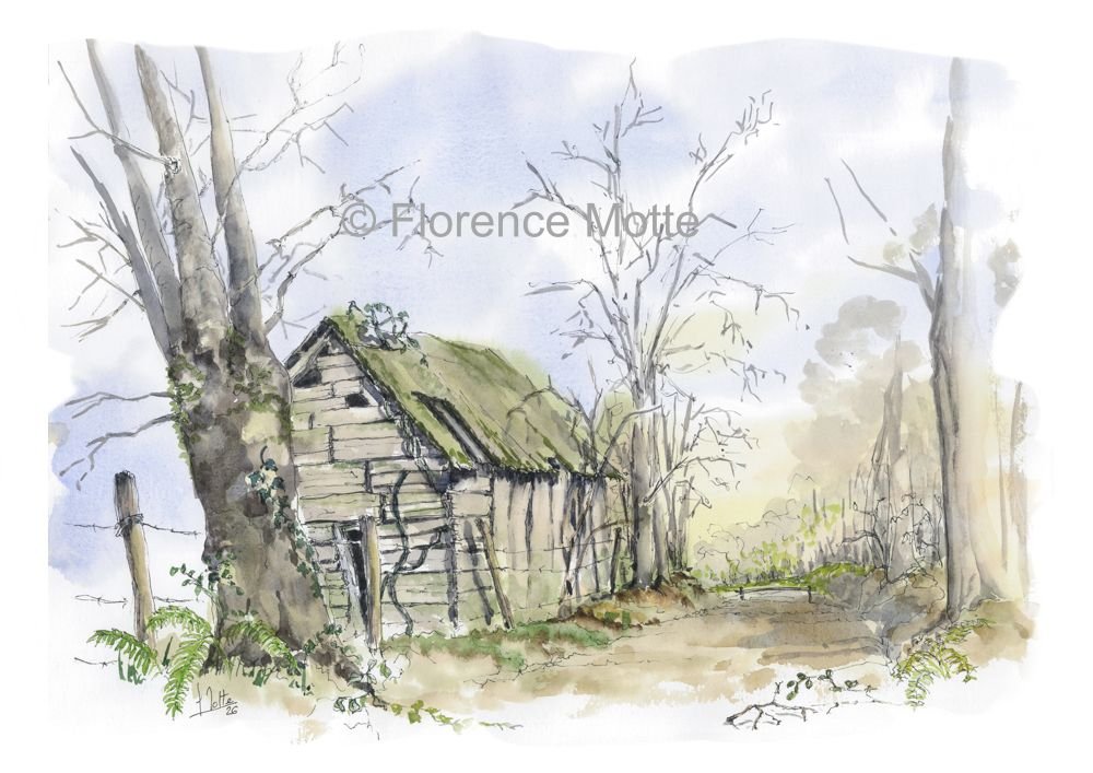 paysage la cabane au bord de la forêt et filigrane réduit.jpg