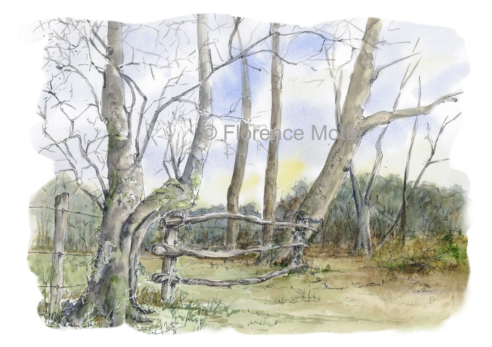 paysage le jardin clos a4 filigrane réduit