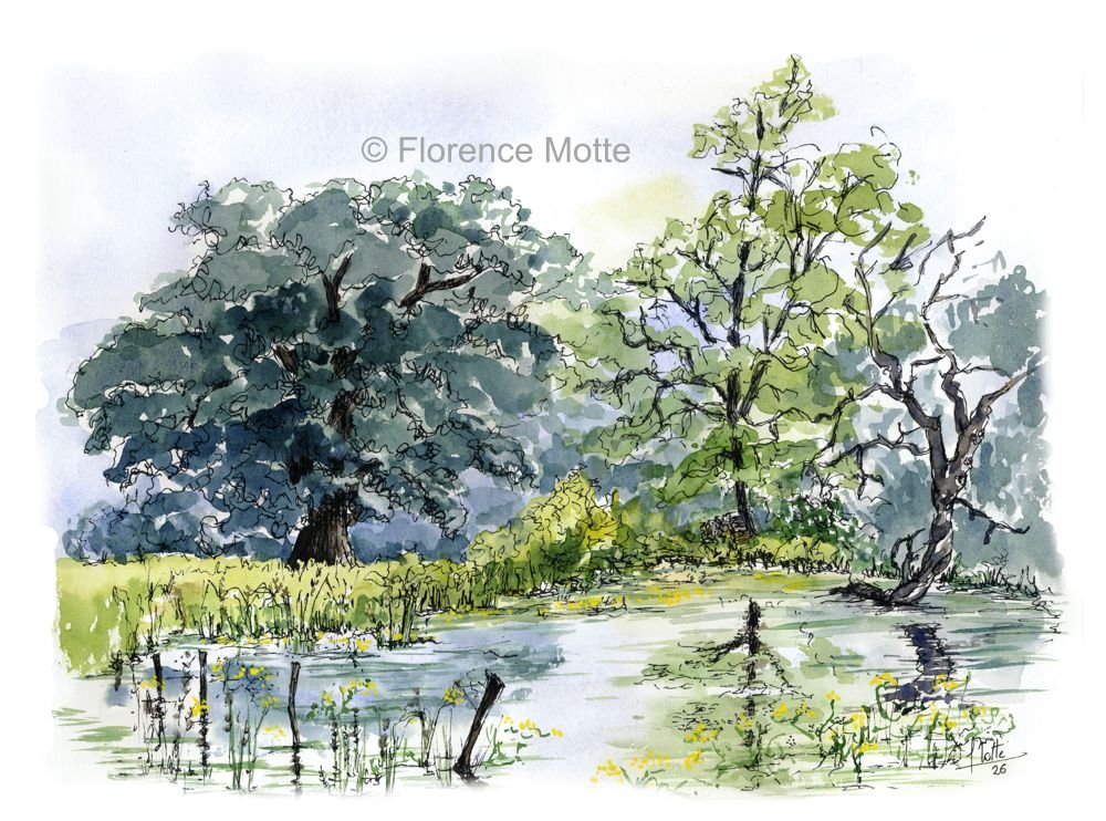 paysage mare lambonnière 30x40 filigrane réduit v2
