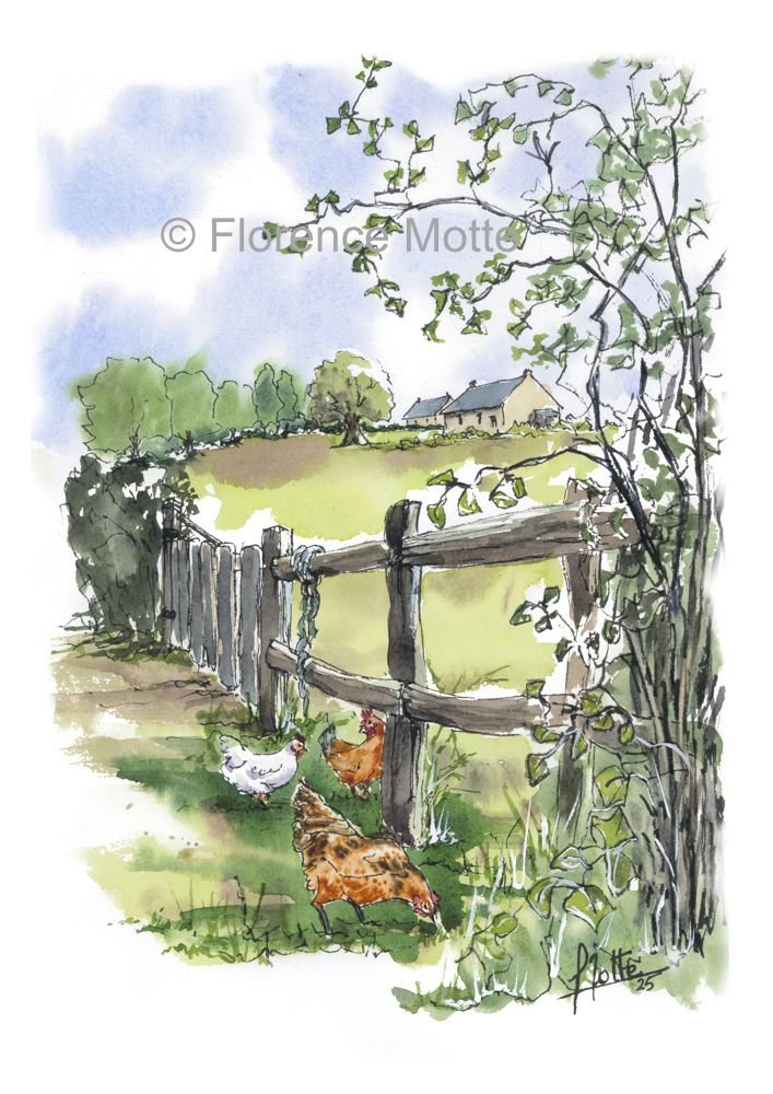 .poules en balade contour filigrane réduit