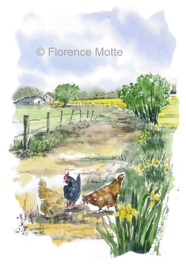 trois poules jonquilles sur le chemin filigrane réduit.png